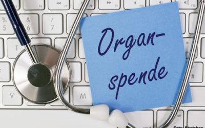 BÄK: Regelungen zur Organspende müssen ins Rechtssystem passen