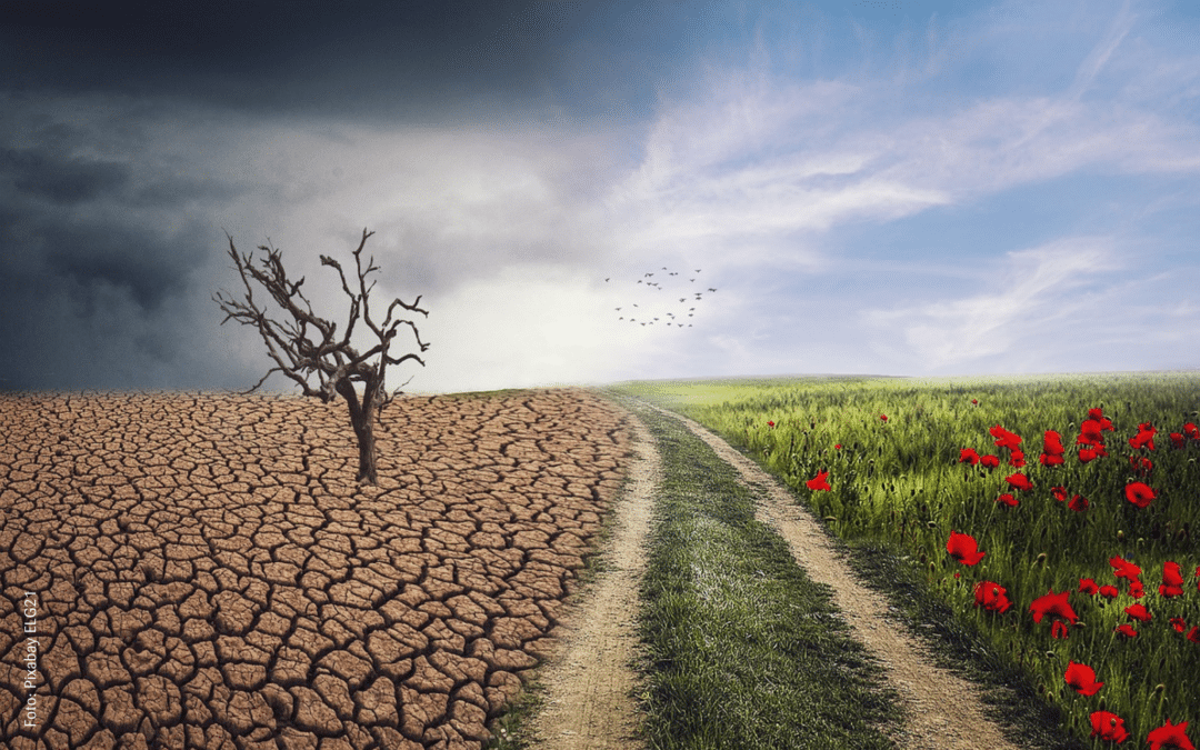 Klimawandel macht auch vor Arztpraxen nicht Halt